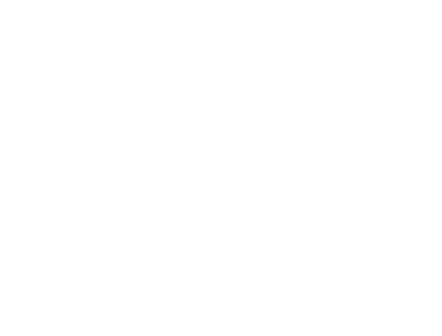 SAWAMURAの実績